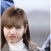 Black Pink 22