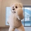 🐻Bear dance🐻 11