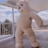 🐻Bear dance🐻 9