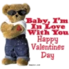 Valentine Day  17