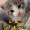 Pack de reações 8