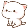 Cutie Cat Chan 6