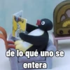 PINGU 21