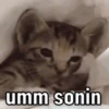 MEMES PRA ZUAR NOS GRUPOS 🤪 7