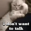 Cute Cats 😻😻 7