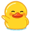 Male Duck 18