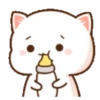 Cutie Cat Chan 8