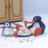 PINGU 23