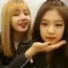 Black Pink 25