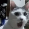 Funny Reactions  12