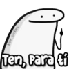 🤯 FLORK Animado 1 16