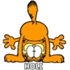 Garfield🐱🧡 9