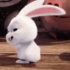 Snowball Rabbit 🐰🥕 Mov 9