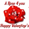 Valentine Day  18