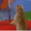 GIFs 2 7