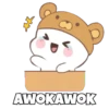Little Bear 11
