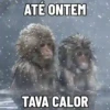 🐒 aquela do macaquinho 24