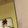 Animes 13
