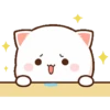 Kucing gemoy 14