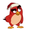 Natal 27