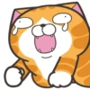 Kimoy si Kucing Gemoy 14