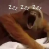 मुझे नींद आ रही है 😴 5