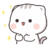 Cutie Cat Chan 5