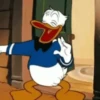 PATO DONALD 🔵 14