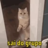 Boa pra mandar no grupo 🏘️😂 10