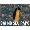 MEMES ALEATÓRIO 6
