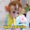 🐒 aquela do macaquinho 16