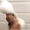Memes para você amor 11