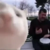 Adesivos engraçados 9
