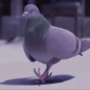 🌈 Animaditos Random 6 🤭 12