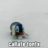 PINGU 5