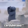 PINGU 24