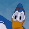 PATO DONALD 🔵 13