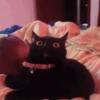 TikTok Virales Infaltables 13
