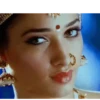 Telugu 13
