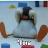 PINGU 29