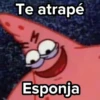 💣Memes Animaditos💥 16