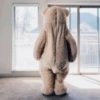 🐻Bear dance🐻 10