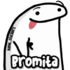 FLORK Animado 2 14