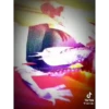 BaBo 6