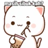Peach Cat Expressions (3) 10