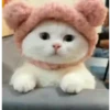 Gato Fofo com Orelhas de Urso