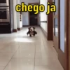 SELECIONADAS PARA VOCÊ 13