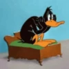 GIFs 2 28