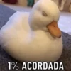 Memes pra usar no zap 8