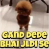 GAND DEDE BHAI JLDI SE